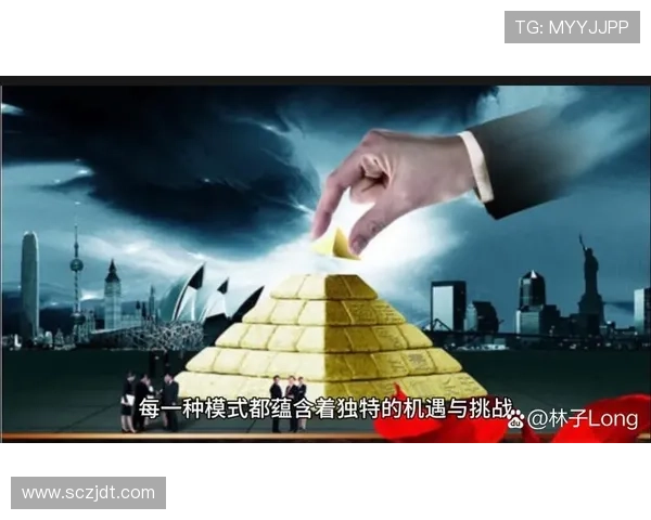 华商企业家如何在全球化竞争中崭露头角推动经济发展与创新模式的探索